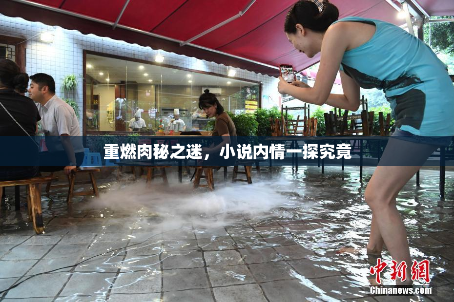 重燃肉秘之迷，小说内情一探究竟