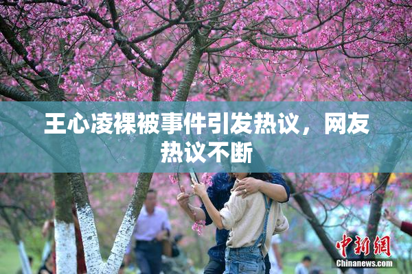 王心凌裸被事件引发热议，网友热议不断