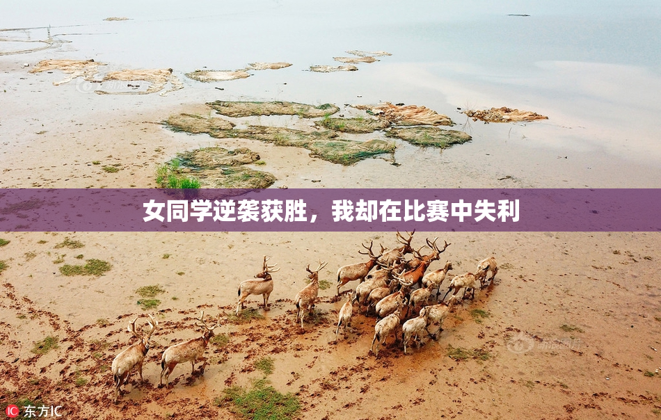 女同学逆袭获胜，我却在比赛中失利