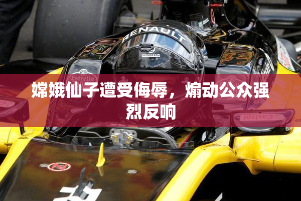 嫦娥仙子遭受侮辱，煽动公众强烈反响