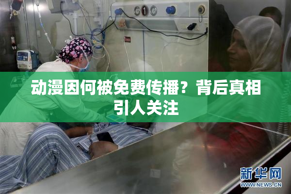 动漫因何被免费传播？背后真相引人关注