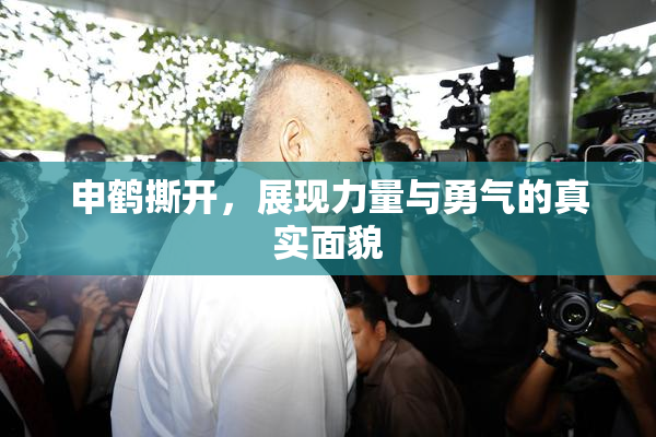申鹤撕开，展现力量与勇气的真实面貌