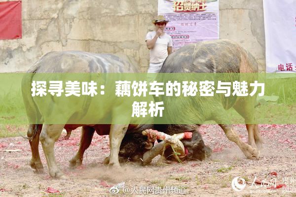 探寻美味：藕饼车的秘密与魅力解析