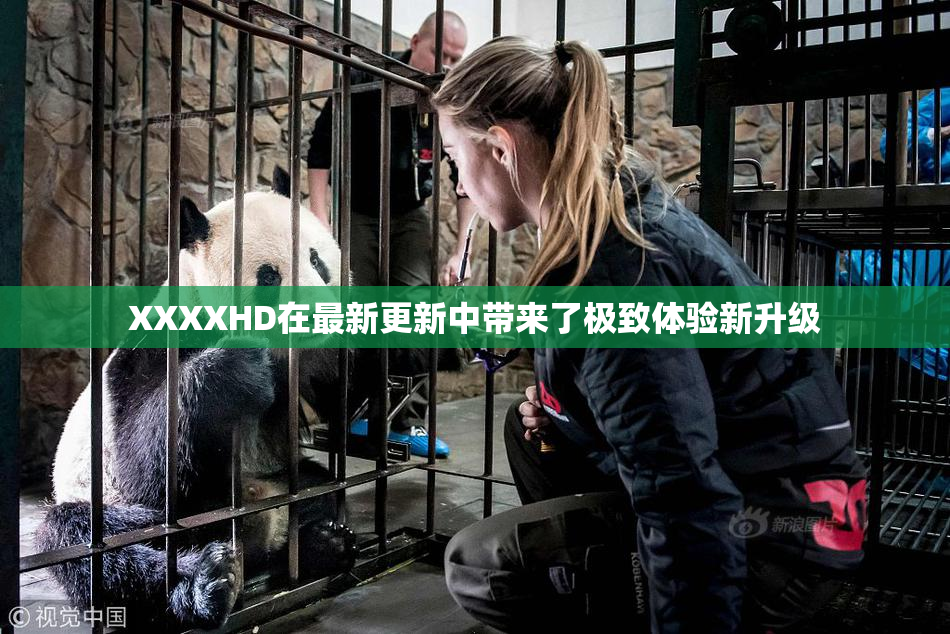 XXXXHD在最新更新中带来了极致体验新升级