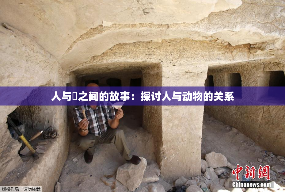 人与嘼之间的故事：探讨人与动物的关系