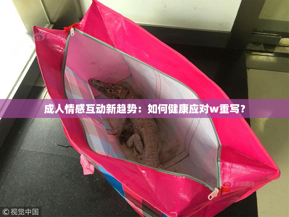 成人情感互动新趋势：如何健康应对w重写？