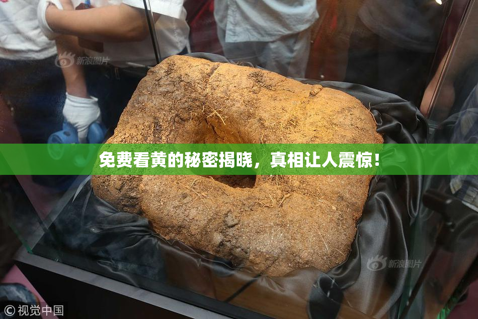 免费看黄的秘密揭晓，真相让人震惊！