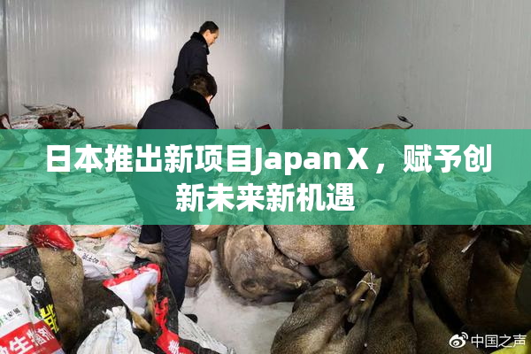 日本推出新项目JapanⅩ，赋予创新未来新机遇