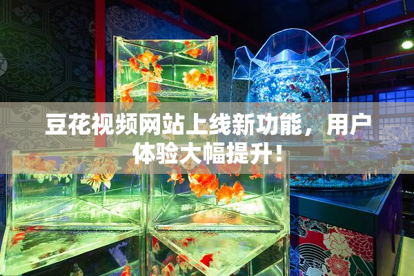 豆花视频网站上线新功能，用户体验大幅提升！