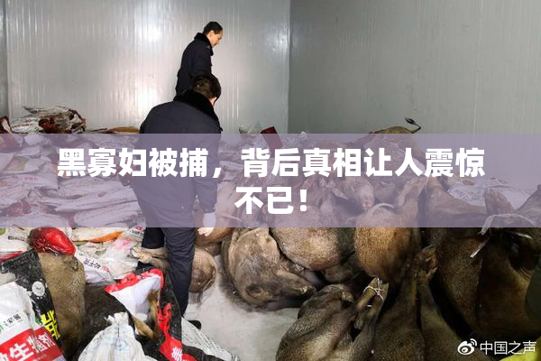 黑寡妇被捕，背后真相让人震惊不已！