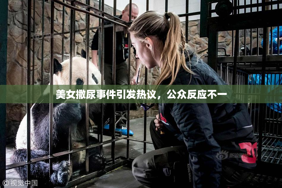 美女撒尿事件引发热议，公众反应不一