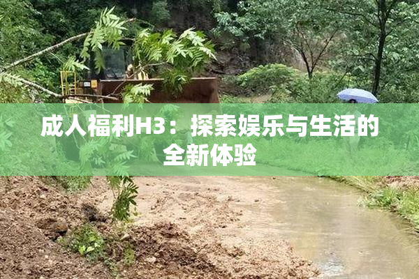 成人福利H3：探索娱乐与生活的全新体验