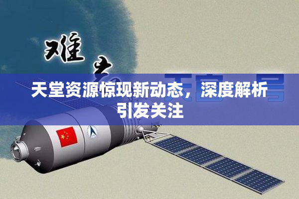 天堂资源惊现新动态，深度解析引发关注