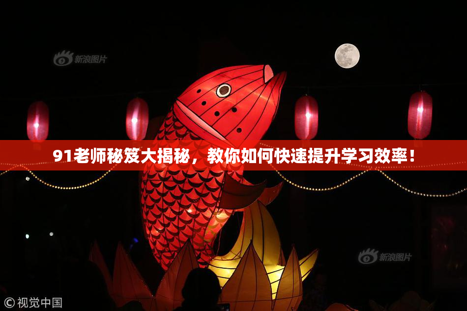 91老师秘笈大揭秘，教你如何快速提升学习效率！