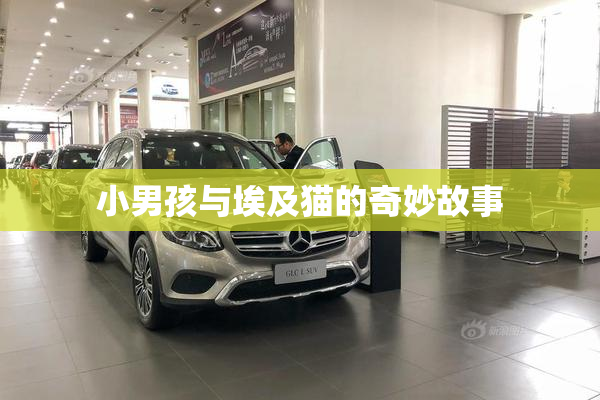小男孩与埃及猫的奇妙故事