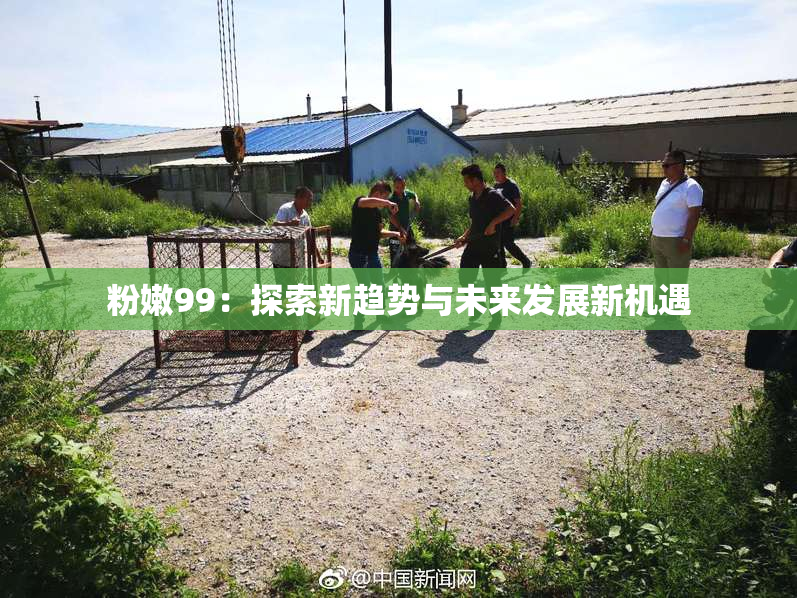 粉嫩99：探索新趋势与未来发展新机遇