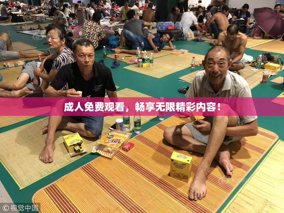 成人免费观看，畅享无限精彩内容！