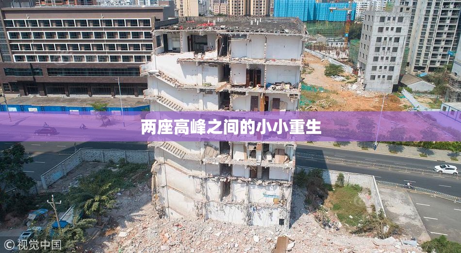 两座高峰之间的小小重生