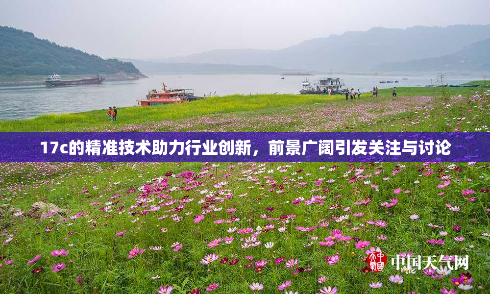 17c的精准技术助力行业创新，前景广阔引发关注与讨论