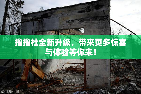 撸撸社全新升级，带来更多惊喜与体验等你来！