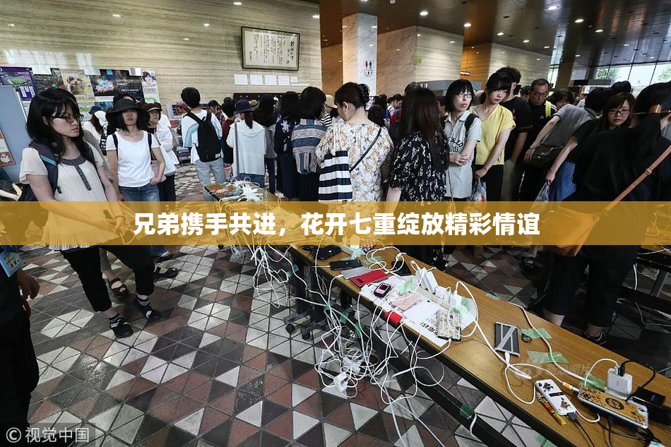 兄弟携手共进，花开七重绽放精彩情谊