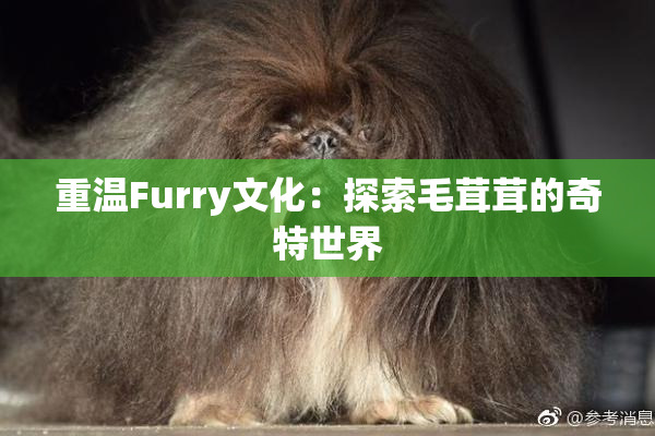 重温Furry文化：探索毛茸茸的奇特世界