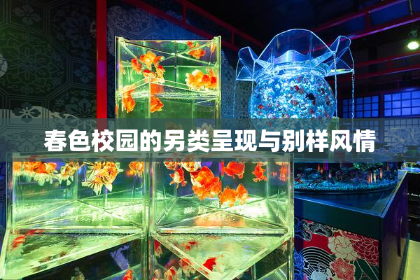 春色校园的另类呈现与别样风情