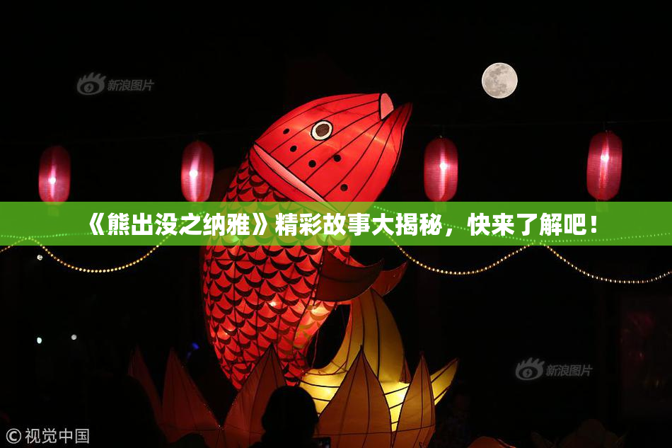 《熊出没之纳雅》精彩故事大揭秘，快来了解吧！