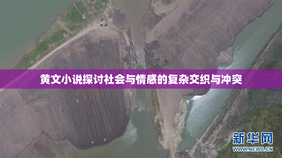 黄文小说探讨社会与情感的复杂交织与冲突