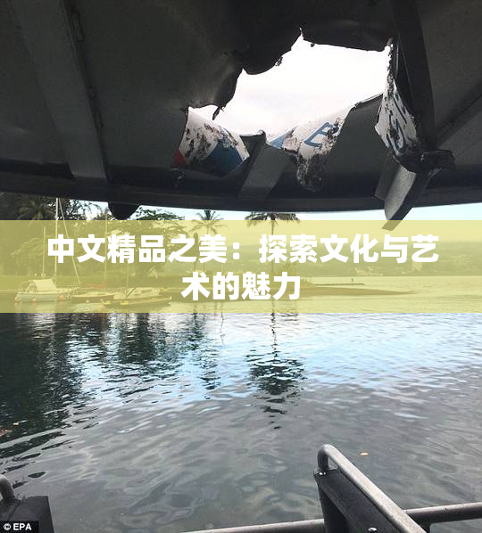 中文精品之美：探索文化与艺术的魅力