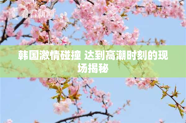 韩国激情碰撞 达到高潮时刻的现场揭秘