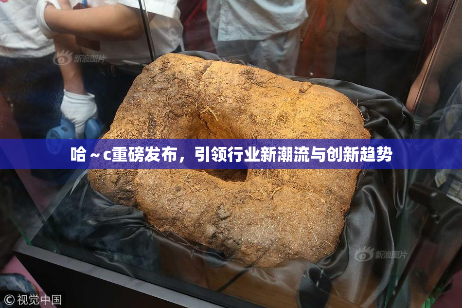 哈～c重磅发布，引领行业新潮流与创新趋势