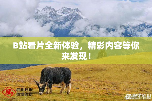 B站看片全新体验，精彩内容等你来发现！