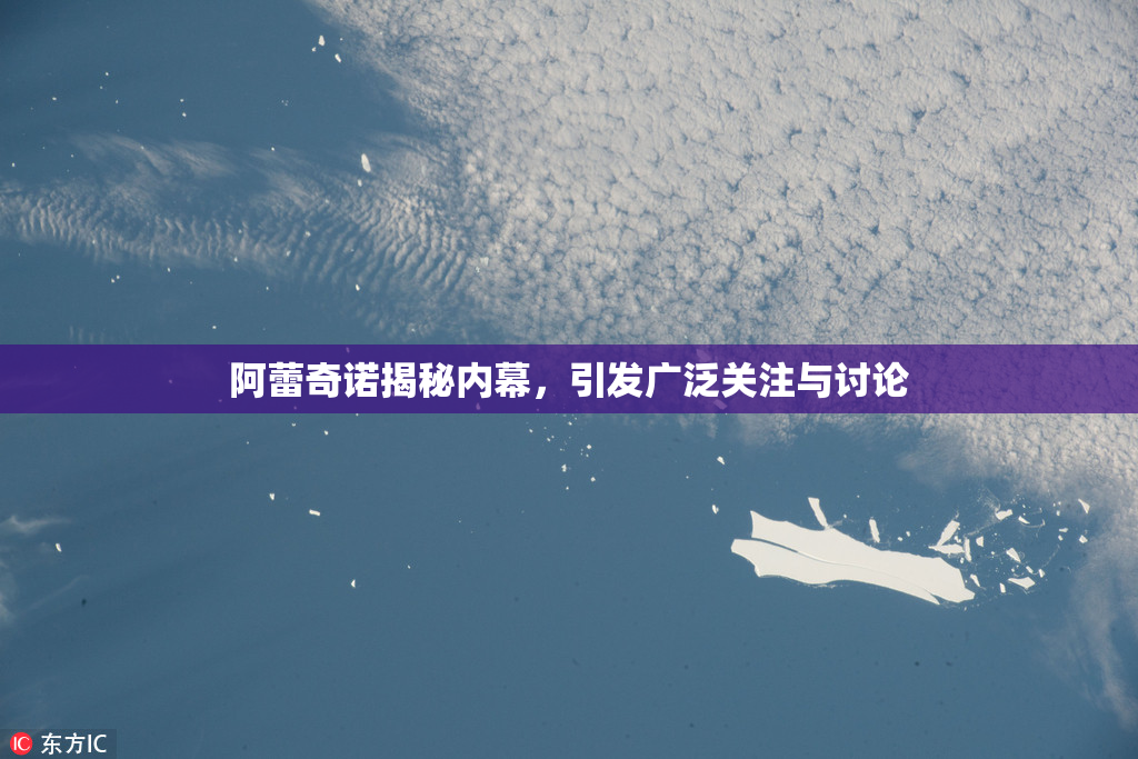 阿蕾奇诺揭秘内幕，引发广泛关注与讨论