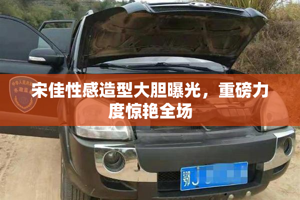 宋佳性感造型大胆曝光，重磅力度惊艳全场