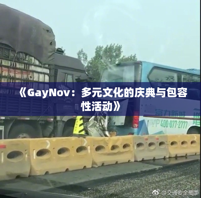 《GayNov：多元文化的庆典与包容性活动》