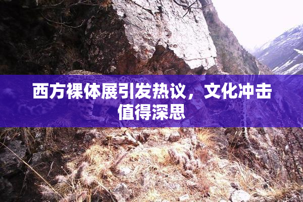 西方裸体展引发热议，文化冲击值得深思