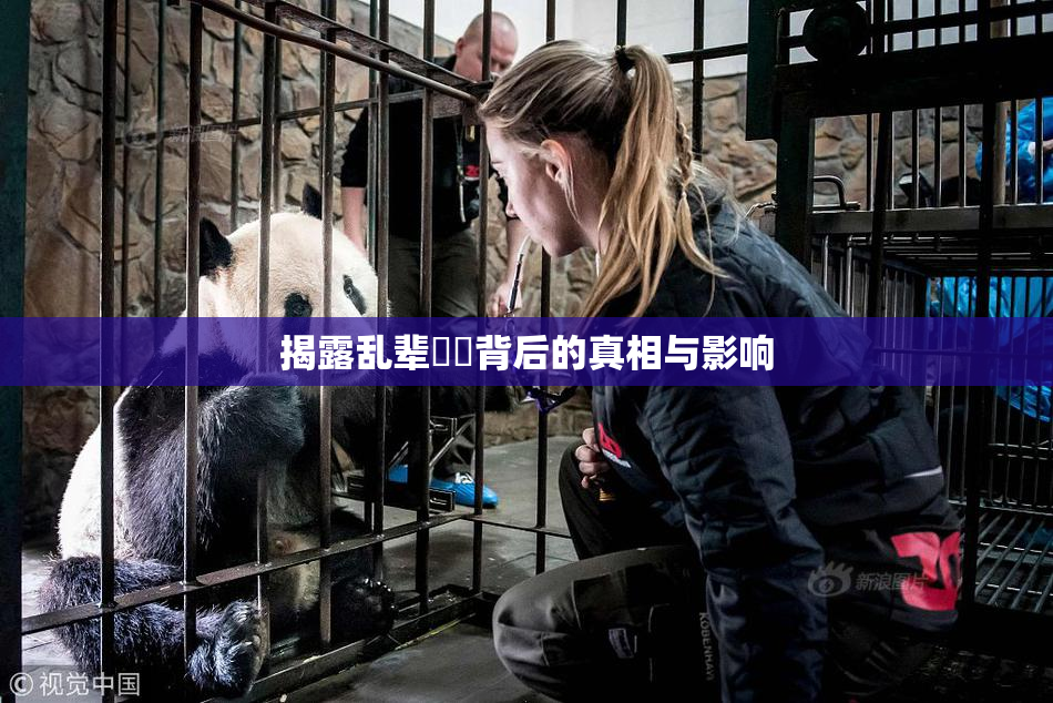 揭露乱辈亂倫背后的真相与影响