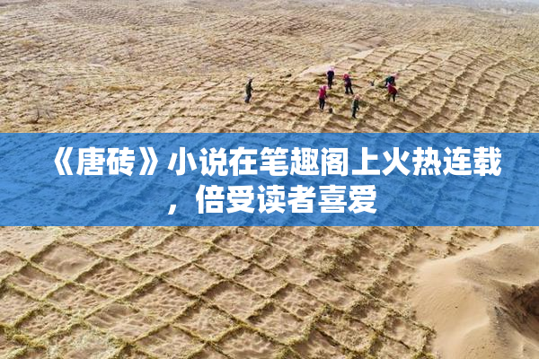 《唐砖》小说在笔趣阁上火热连载，倍受读者喜爱