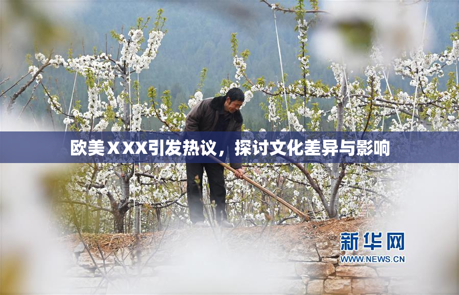 欧美ⅩXX引发热议，探讨文化差异与影响