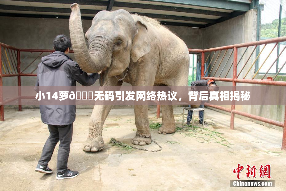小14萝🔞无码引发网络热议，背后真相揭秘
