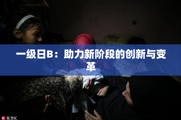 一级日B：助力新阶段的创新与变革