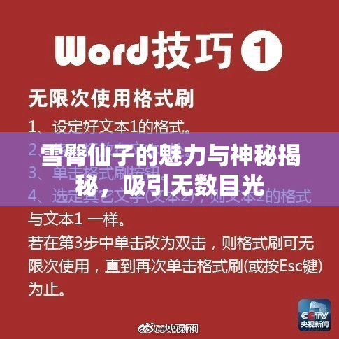 雪臀仙子的魅力与神秘揭秘，吸引无数目光