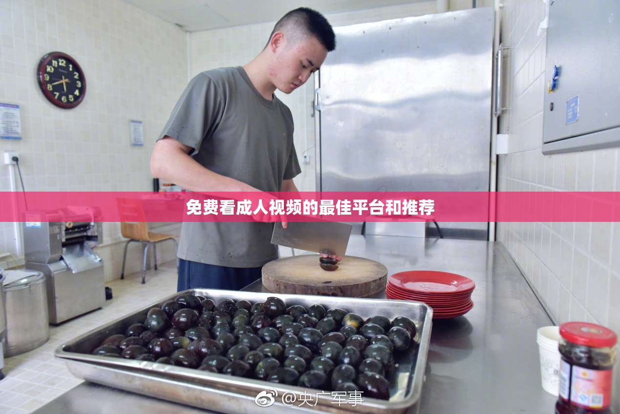 免费看成人视频的最佳平台和推荐