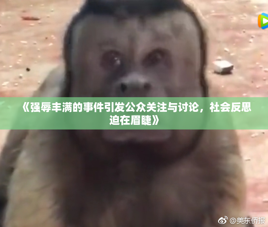 《强辱丰满的事件引发公众关注与讨论，社会反思迫在眉睫》