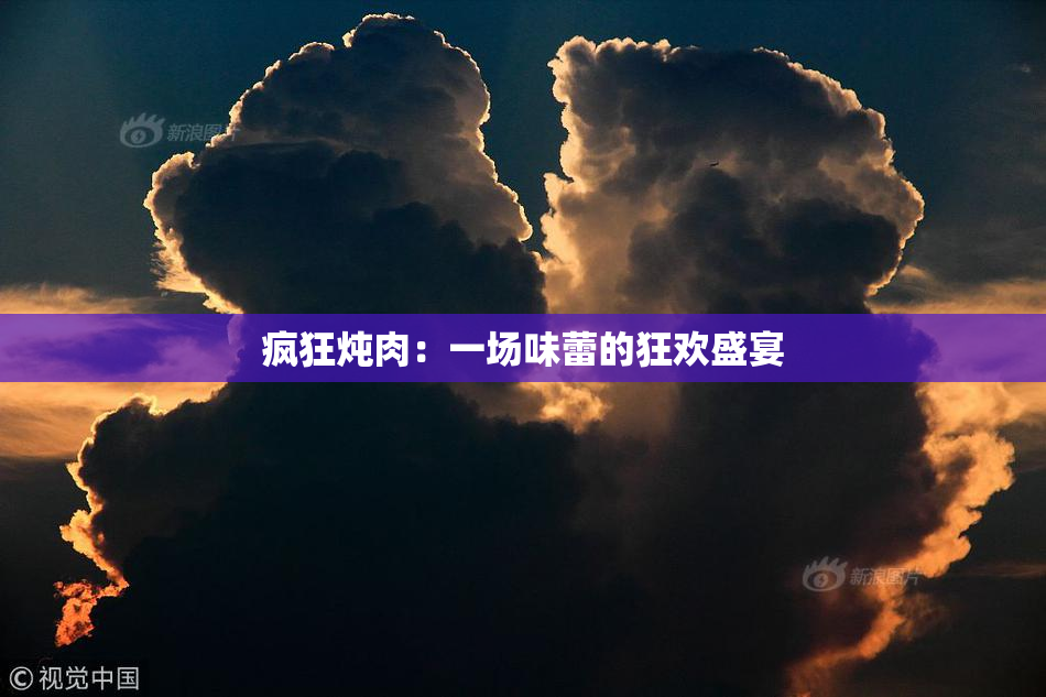 疯狂炖肉：一场味蕾的狂欢盛宴