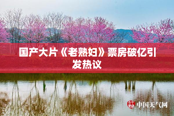 国产大片《老熟妇》票房破亿引发热议