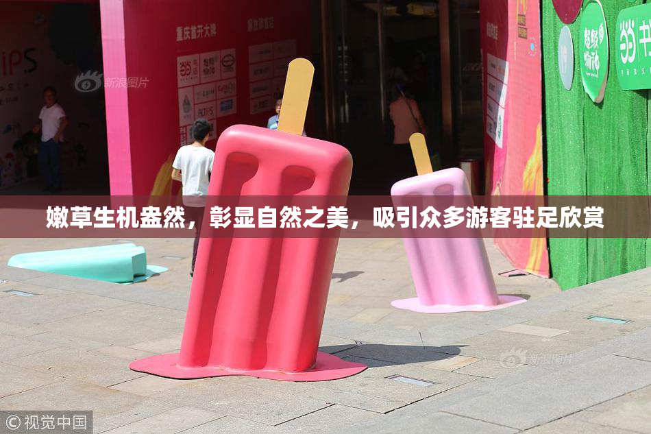 嫩草生机盎然，彰显自然之美，吸引众多游客驻足欣赏