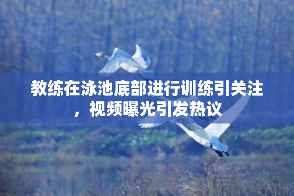 教练在泳池底部进行训练引关注，视频曝光引发热议