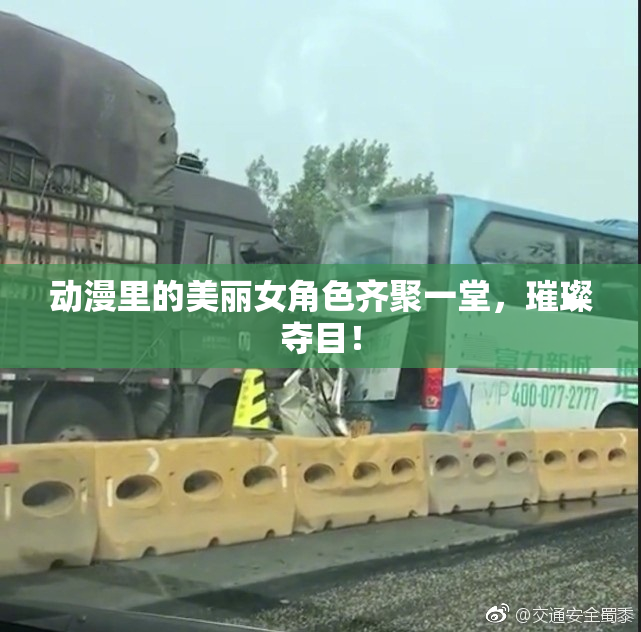 动漫里的美丽女角色齐聚一堂，璀璨夺目！